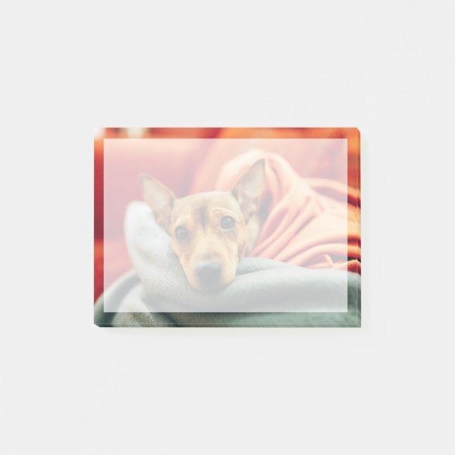 Cutest Baby Animals | Miniature Pinscher Post-it Notes (Front)