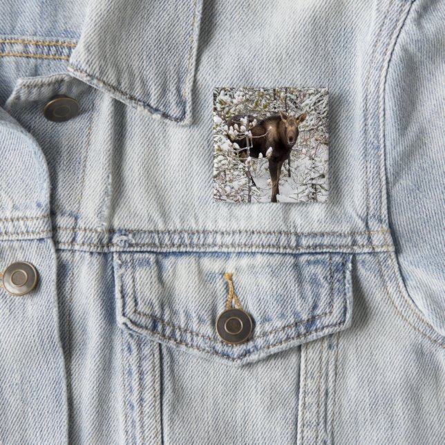 Cutest Baby Animals | Moose Calf 15 Cm Square Badge (In Situ)