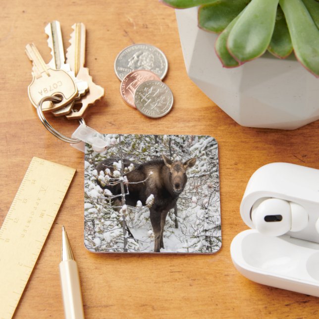 Cutest Baby Animals | Moose Calf Key Ring (Desk)