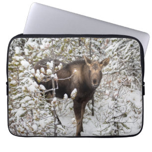 Cutest Baby Animals   Moose Calf Laptop Sleeve