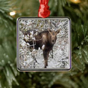 Cutest Baby Animals Moose Calf Metal Tree Decoration