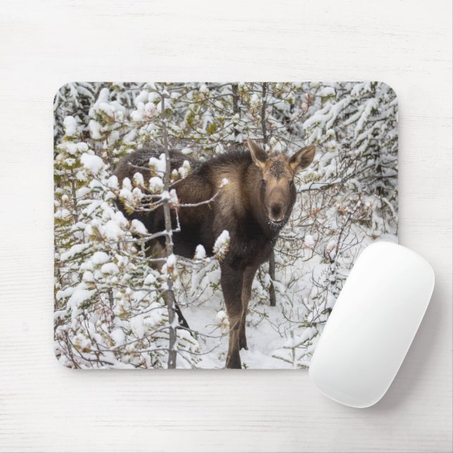 Cutest Baby Animals | Moose Calf Mouse Mat (With Mouse)