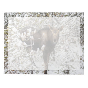 Cutest Baby Animals Moose Calf Notepad