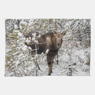Cutest Baby Animals Moose Calf Tea Towel