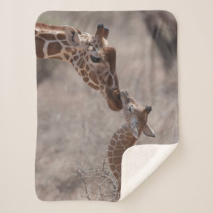 Cutest Baby Animals   Mother and Baby Giraffe Sherpa Blanket