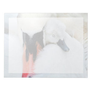 Cutest Baby Animals Mother & Baby Mute Swan Notepad