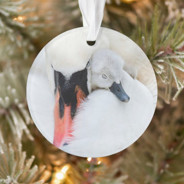 Cutest Baby Animals | Mother & Baby Mute Swan Ornament (Tree)