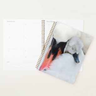 Cutest Baby Animals Mother & Baby Mute Swan Planner