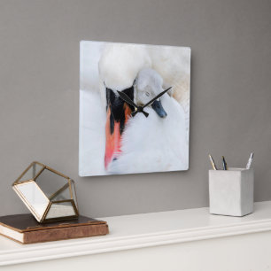 Cutest Baby Animals   Mother & Baby Mute Swan Square Wall Clock