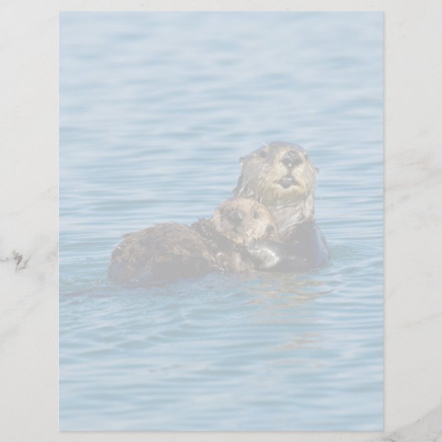 Cutest Baby Animals | Mother & Baby Sea Otter (Front)