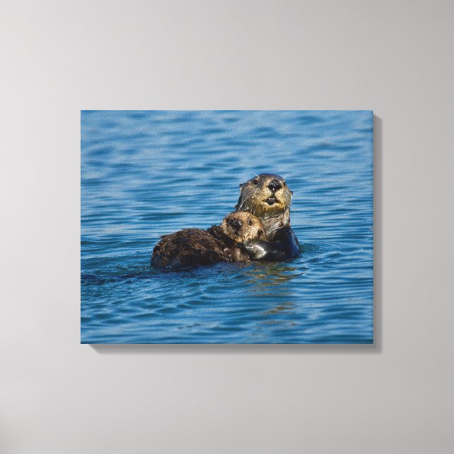 Cutest Baby Animals | Mother & Baby Sea Otter Canvas Print (Front)