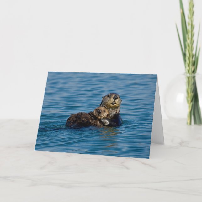 Cutest Baby Animals | Mother & Baby Sea Otter Card (Front)