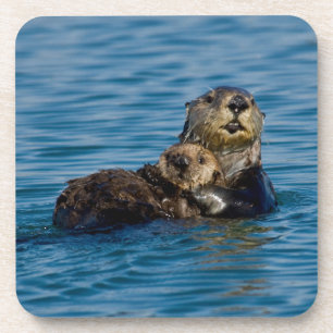 Cutest Baby Animals Mother & Baby Sea Otter Coaster