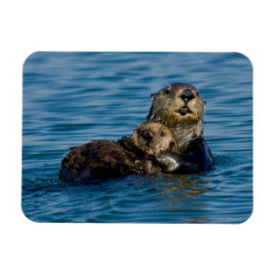 Cutest Baby Animals Mother & Baby Sea Otter Magnet