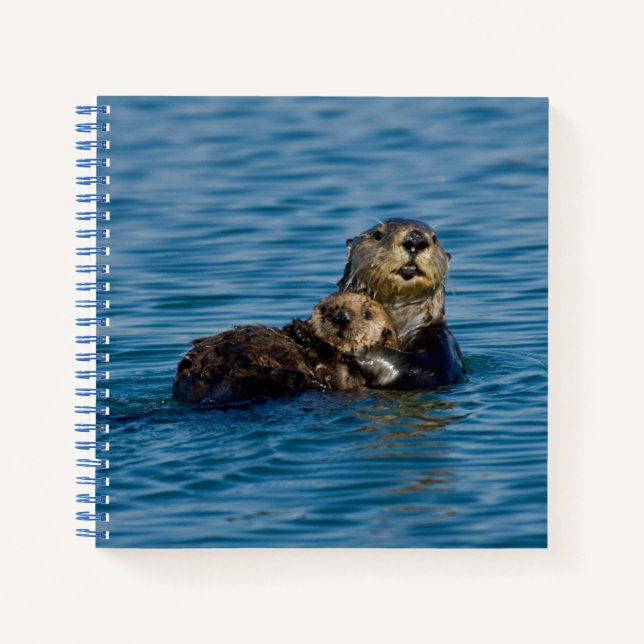 Cutest Baby Animals | Mother & Baby Sea Otter Notebook (Front)