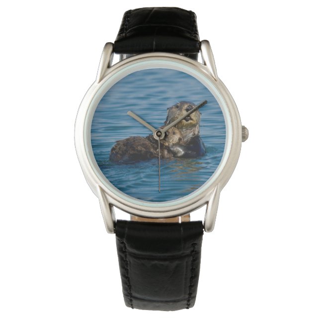 Cutest Baby Animals | Mother & Baby Sea Otter Watch (Front)