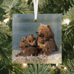 Cutest Baby Animals Mother Bear & Cubs Glass Tree Decoration