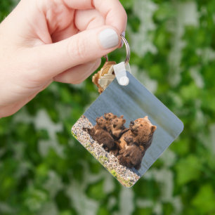 Cutest Baby Animals   Mother Bear & Cubs Key Ring