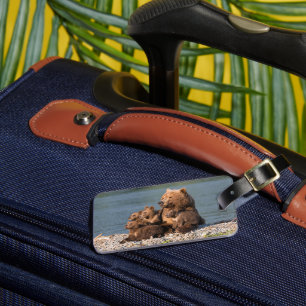 Cutest Baby Animals   Mother Bear & Cubs Luggage Tag