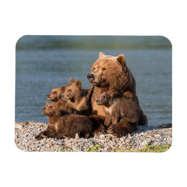 Cutest Baby Animals | Mother Bear & Cubs Magnet (Horizontal)