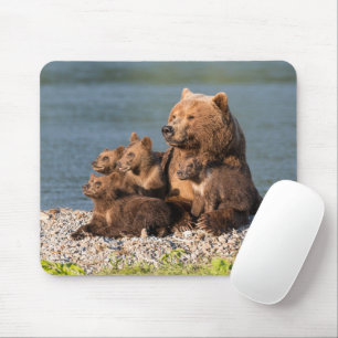 Cutest Baby Animals Mother Bear & Cubs Mouse Mat