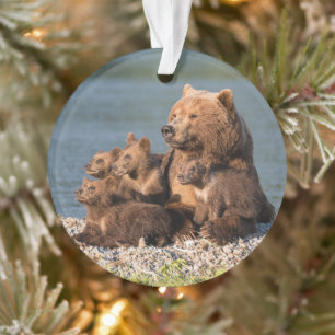Cutest Baby Animals Mother Bear & Cubs Ornament
