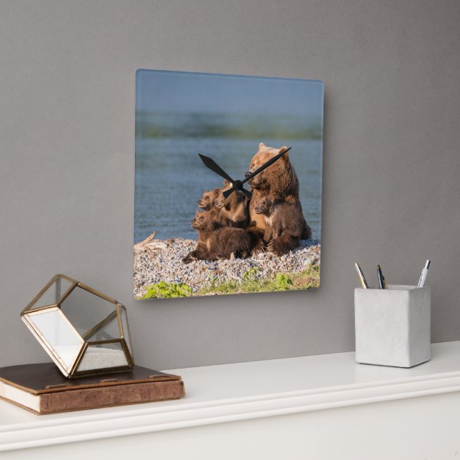 Cutest Baby Animals | Mother Bear & Cubs Square Wall Clock (Office)