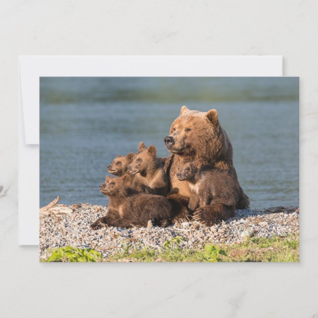 Cutest Baby Animals | Mother Bear & Cubs Thank You Card (Front)