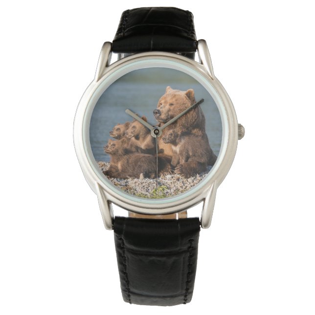 Cutest Baby Animals | Mother Bear & Cubs Watch (Front)