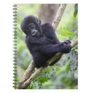Cutest Baby Animals   Mountain Gorilla Baby Notebook