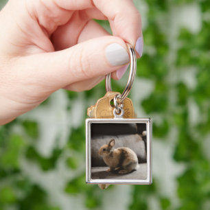 Cutest Baby Animals   Netherland Dwarf Rabbit Key Ring