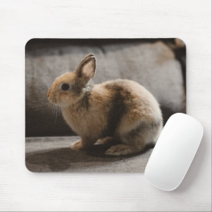 Cutest Baby Animals Netherland Dwarf Rabbit Mouse Mat