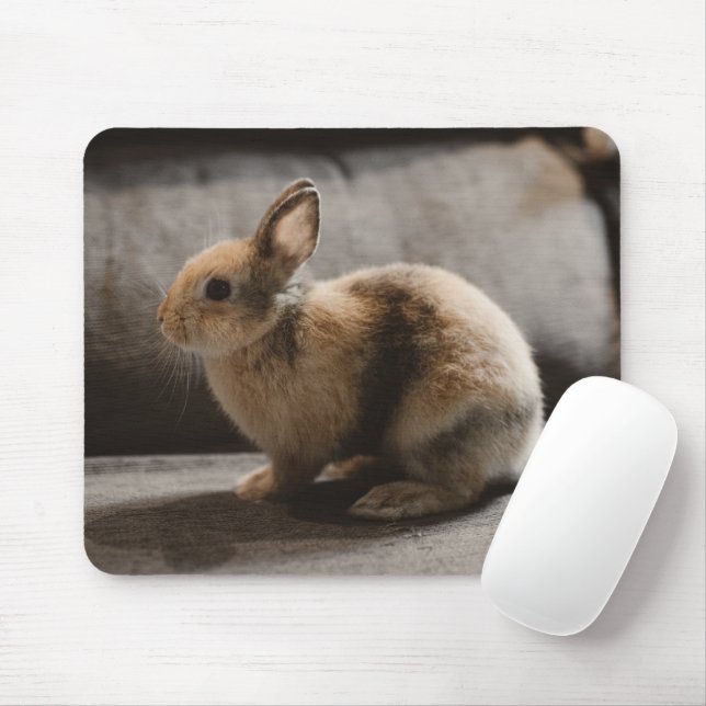 Cutest Baby Animals | Netherland Dwarf Rabbit Mouse Mat (With Mouse)