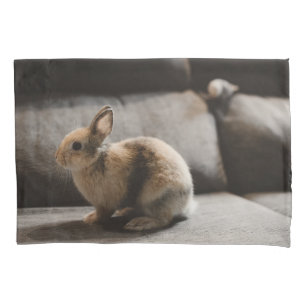 Cutest Baby Animals   Netherland Dwarf Rabbit Pillowcase