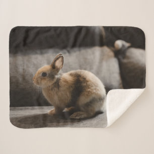 Cutest Baby Animals   Netherland Dwarf Rabbit Sherpa Blanket