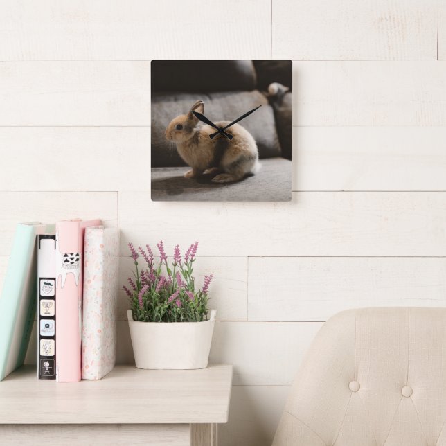 Cutest Baby Animals | Netherland Dwarf Rabbit Square Wall Clock (Reading Room)