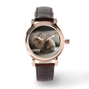 Cutest Baby Animals Netherland Dwarf Rabbit Watch