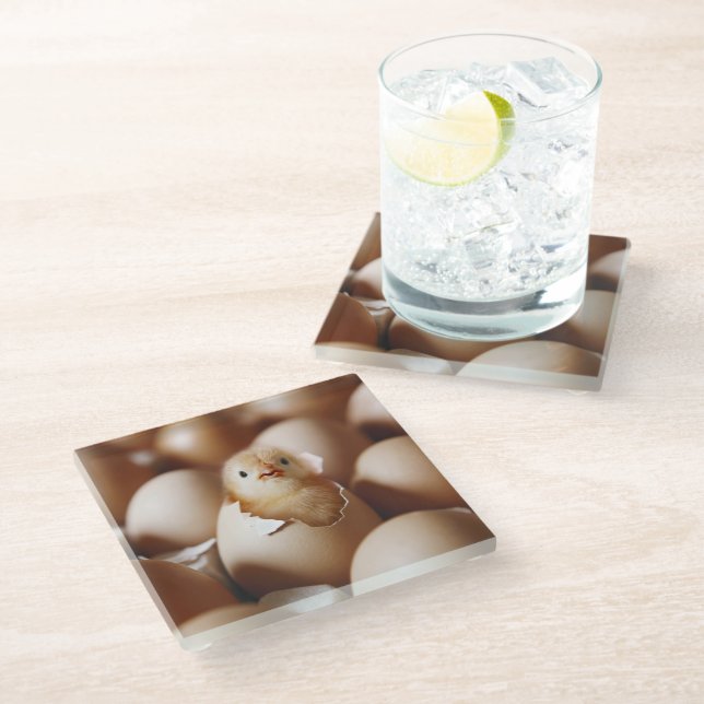 Cutest Baby Animals | New Baby Chick Glass Coaster (Angled)