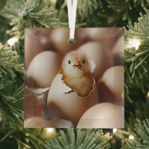 Cutest Baby Animals   New Baby Chick Glass Tree Decoration