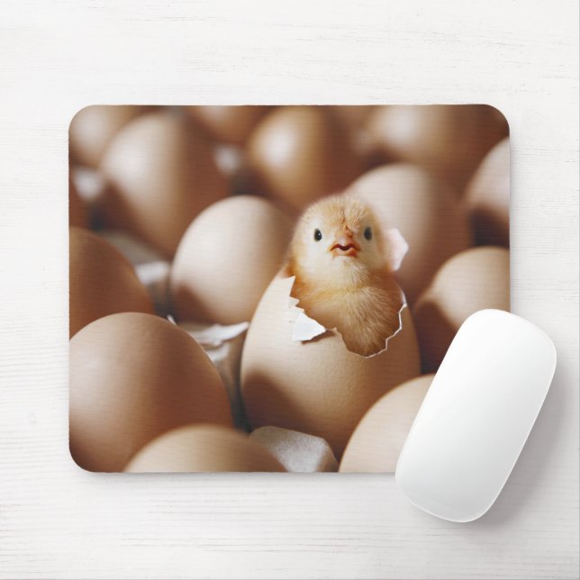 Cutest Baby Animals | New Baby Chick Mouse Mat (With Mouse)