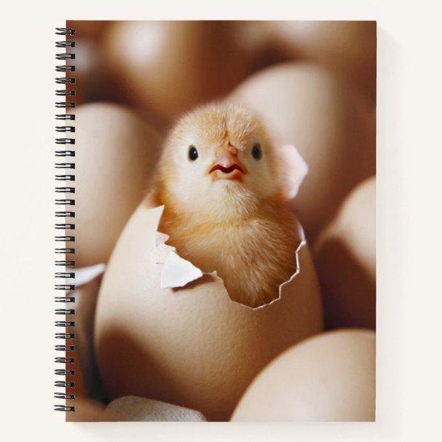 Cutest Baby Animals | New Baby Chick Notebook (Front)