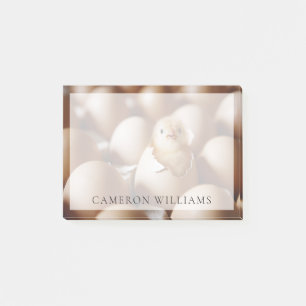 Cutest Baby Animals   New Baby Chick Post-it Notes