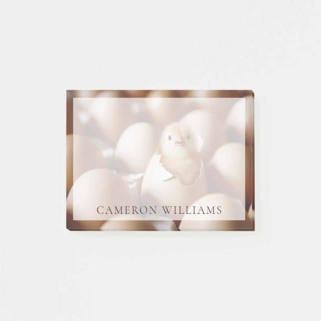 Cutest Baby Animals | New Baby Chick Post-it Notes (Front)