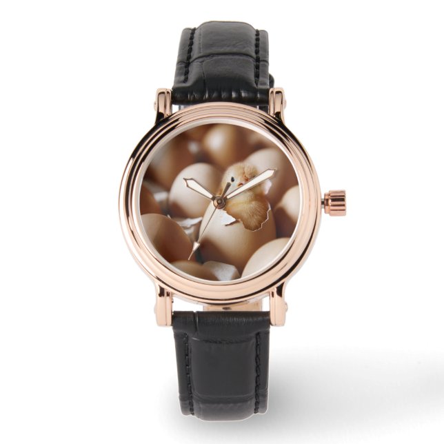 Cutest Baby Animals | New Baby Chick Watch (Front)