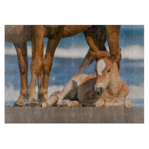 Cutest Baby Animals Newborn Corolla Wild Horse Cutting Board