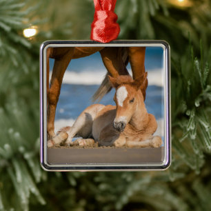 Cutest Baby Animals Newborn Corolla Wild Horse Metal Tree Decoration