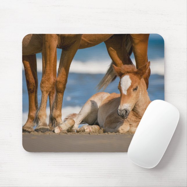 Cutest Baby Animals | Newborn Corolla Wild Horse Mouse Mat (With Mouse)