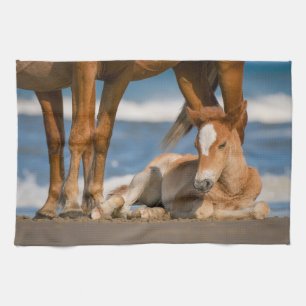 Cutest Baby Animals Newborn Corolla Wild Horse Tea Towel
