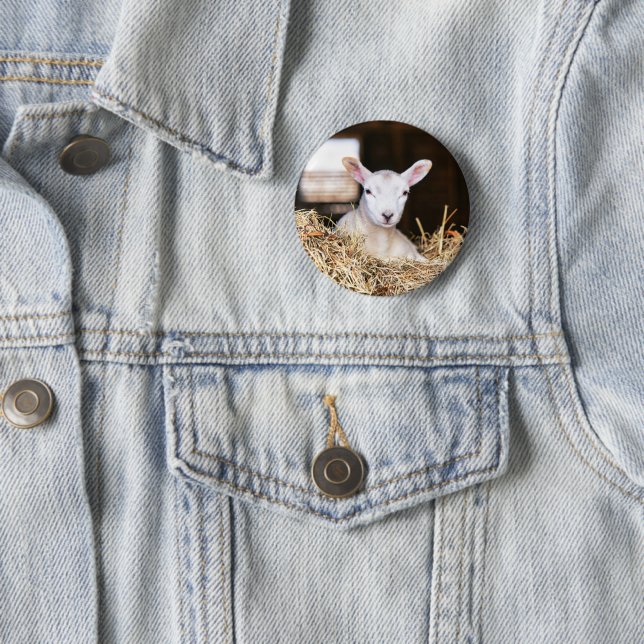 Cutest Baby Animals | Newborn Lamb 6 Cm Round Badge (In Situ)