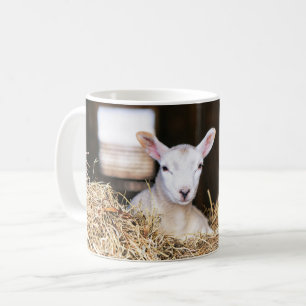 Cutest Baby Animals   Newborn Lamb Coffee Mug